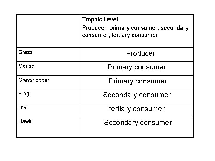 Trophic Level: Producer, primary consumer, secondary consumer, tertiary consumer Grass Producer Mouse Primary consumer