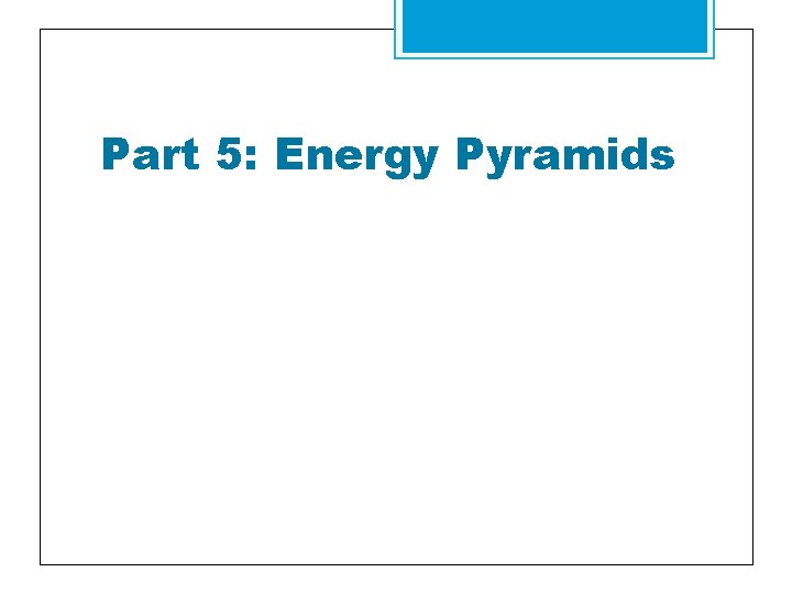 Part 5: Energy Pyramids 