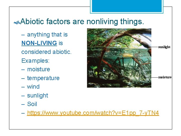  Abiotic factors are nonliving things. – anything that is NON-LIVING is sunlight considered