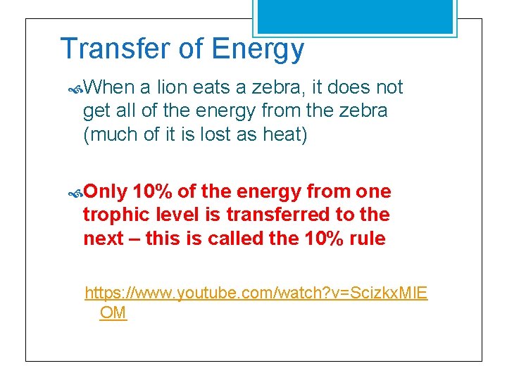 Transfer of Energy When a lion eats a zebra, it does not get all