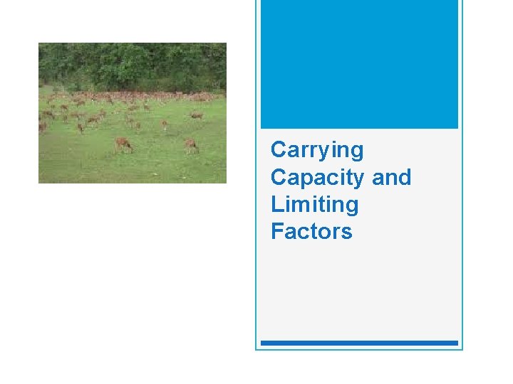 Carrying Capacity and Limiting Factors 