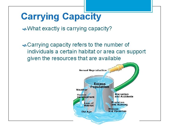 Carrying Capacity What exactly is carrying capacity? Carrying capacity refers to the number of
