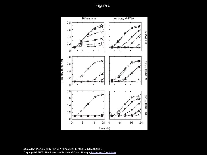 Figure 5 Molecular Therapy 2007 151537 -1542 DOI: (10. 1038/sj. mt. 6300209) Copyright ©