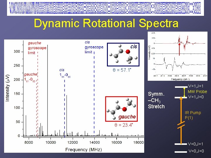 Dynamic Rotational Spectra cis θ = 57. 1˚ Symm. –CH 3 Stretch gauche V=1,