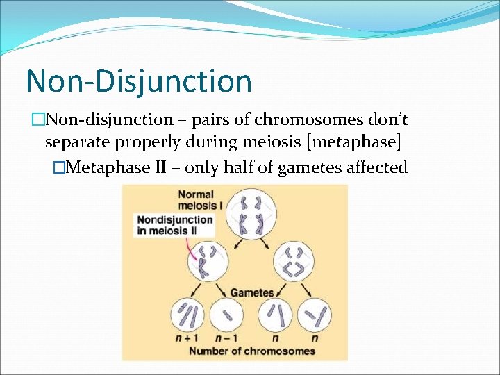 Non-Disjunction �Non-disjunction – pairs of chromosomes don’t separate properly during meiosis [metaphase] �Metaphase II