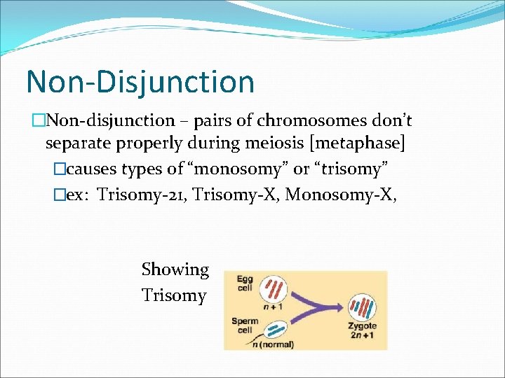Non-Disjunction �Non-disjunction – pairs of chromosomes don’t separate properly during meiosis [metaphase] �causes types
