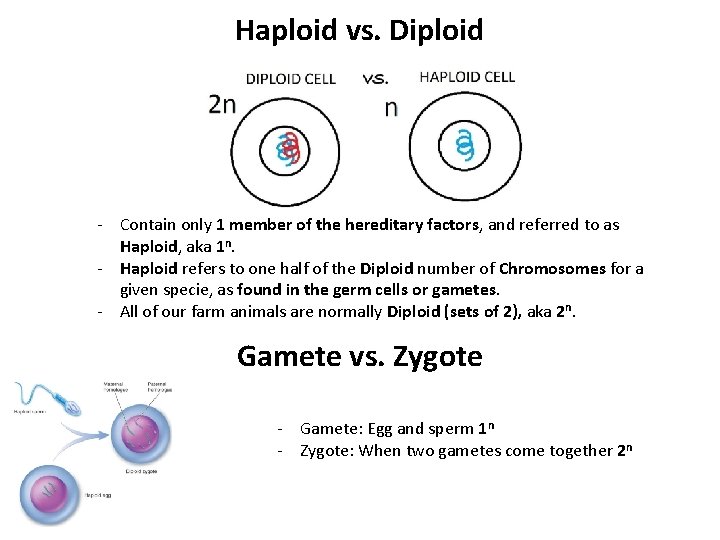 Haploid vs. Diploid - Contain only 1 member of the hereditary factors, and referred
