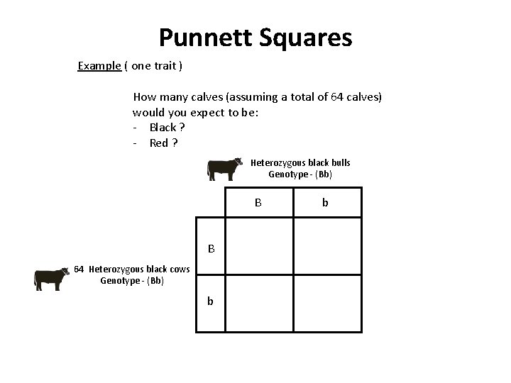 Punnett Squares Example ( one trait ) How many calves (assuming a total of