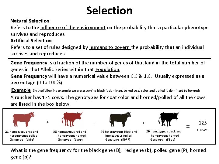 Selection Natural Selection Refers to the influence of the environment on the probability that