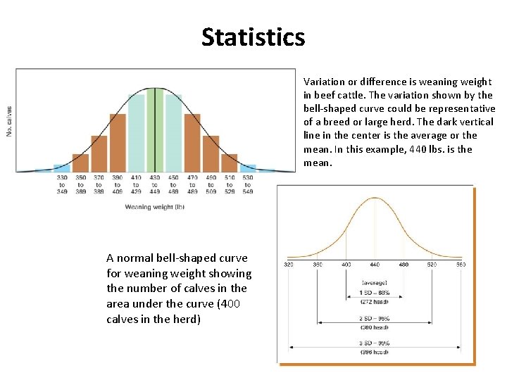 Statistics Variation or difference is weaning weight in beef cattle. The variation shown by