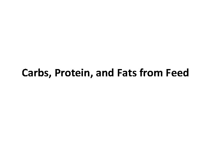 Carbs, Protein, and Fats from Feed 