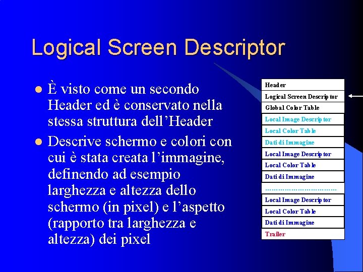 Logical Screen Descriptor l l È visto come un secondo Header ed è conservato