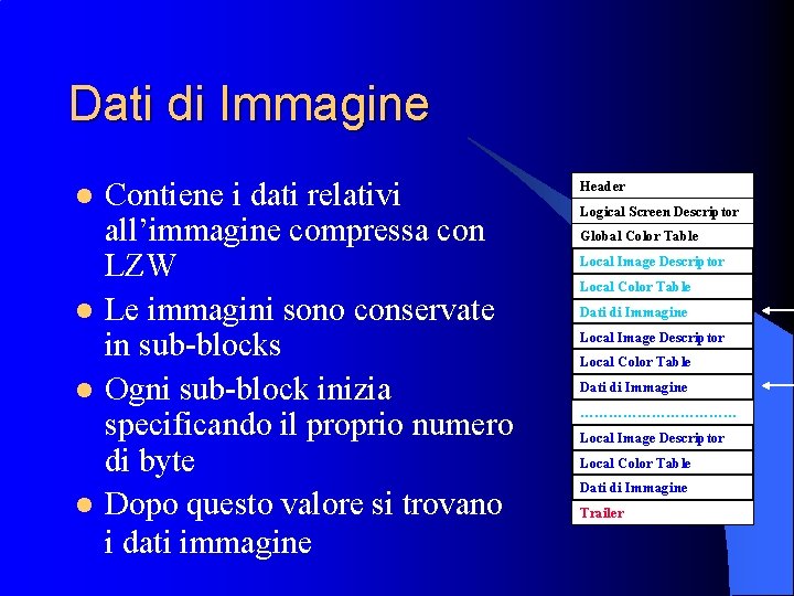 Dati di Immagine l l Contiene i dati relativi all’immagine compressa con LZW Le