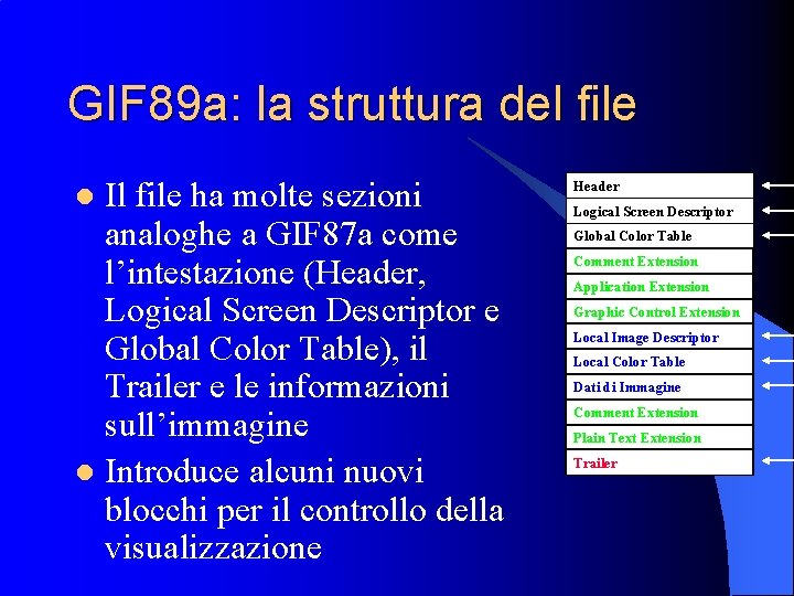 GIF 89 a: la struttura del file Il file ha molte sezioni analoghe a