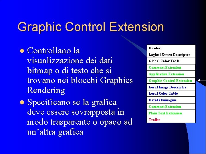 Graphic Control Extension Controllano la visualizzazione dei dati bitmap o di testo che si