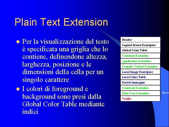 Plain Text Extension l l Per la visualizzazione del testo è specificata una griglia