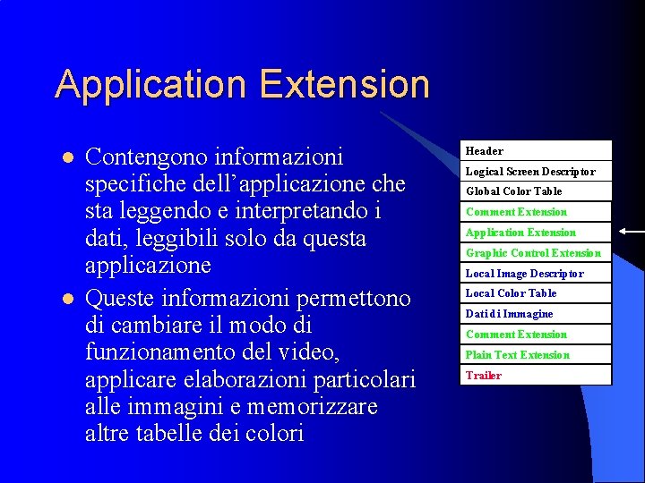 Application Extension l l Contengono informazioni specifiche dell’applicazione che sta leggendo e interpretando i
