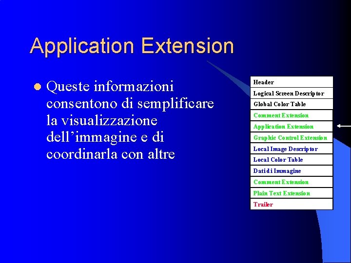 Application Extension l Queste informazioni consentono di semplificare la visualizzazione dell’immagine e di coordinarla