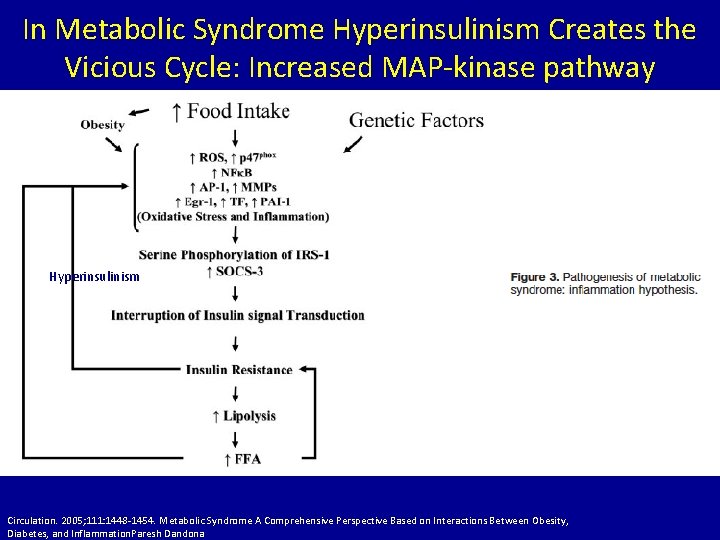 In Metabolic Syndrome Hyperinsulinism Creates the Vicious Cycle: Increased MAP-kinase pathway Hyperinsulinism Circulation. 2005;