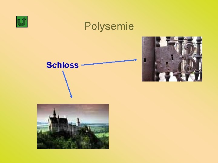 Polysemie ASYMMETRIE DES SPRACHLICHEN ZEICHENS PARADIGMATISCHE ...