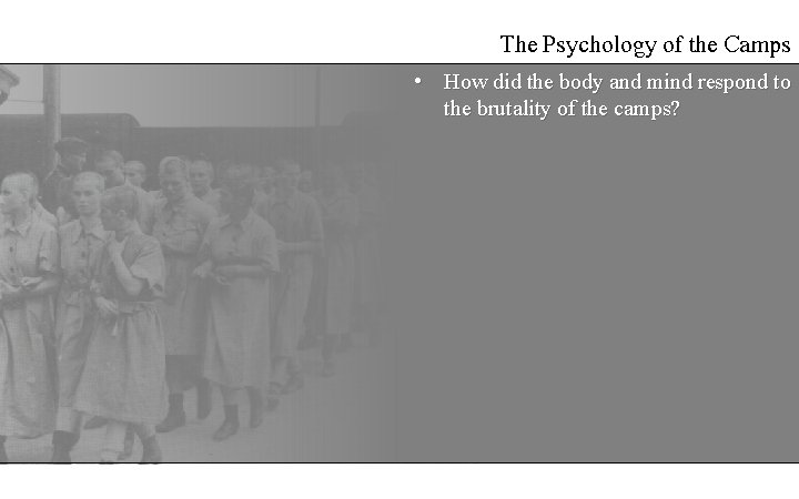 The Psychology of the Camps • How did the body and mind respond to