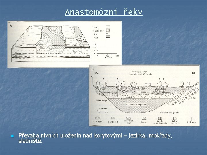 Anastomózní řeky n Převaha nivních uloženin nad korytovými – jezírka, mokřady, slatiniště. 