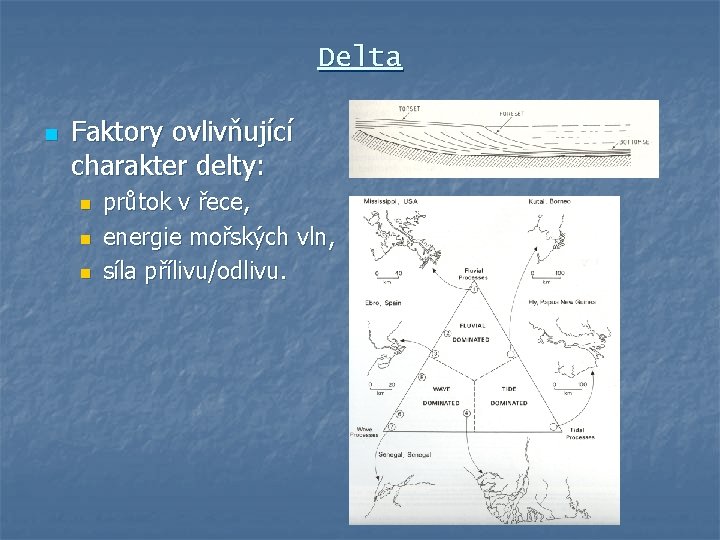 Delta n Faktory ovlivňující charakter delty: n n n průtok v řece, energie mořských