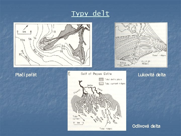 Typy delt Ptačí pařát Lukovitá delta Odlivová delta 