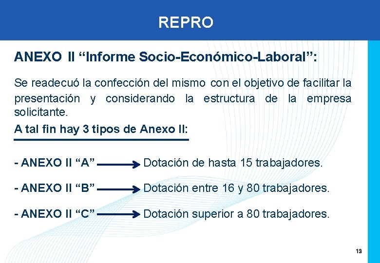 REPRO ANEXO II “Informe Socio-Económico-Laboral”: Se readecuó la confección del mismo con el objetivo