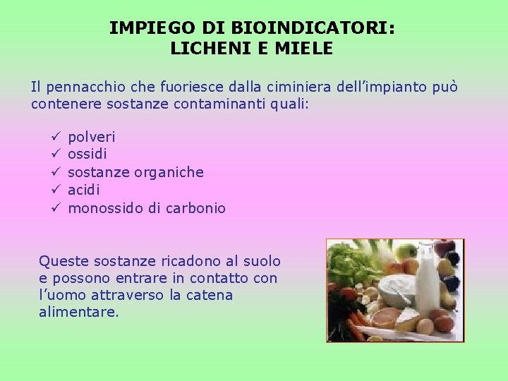 IMPIEGO DI BIOINDICATORI: LICHENI E MIELE Il pennacchio che fuoriesce dalla ciminiera dell’impianto può