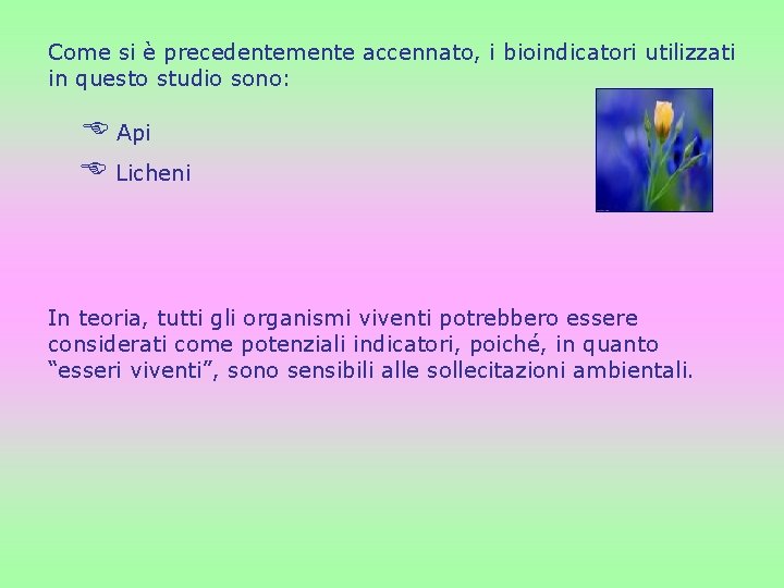 Come si è precedentemente accennato, i bioindicatori utilizzati in questo studio sono: Api Licheni