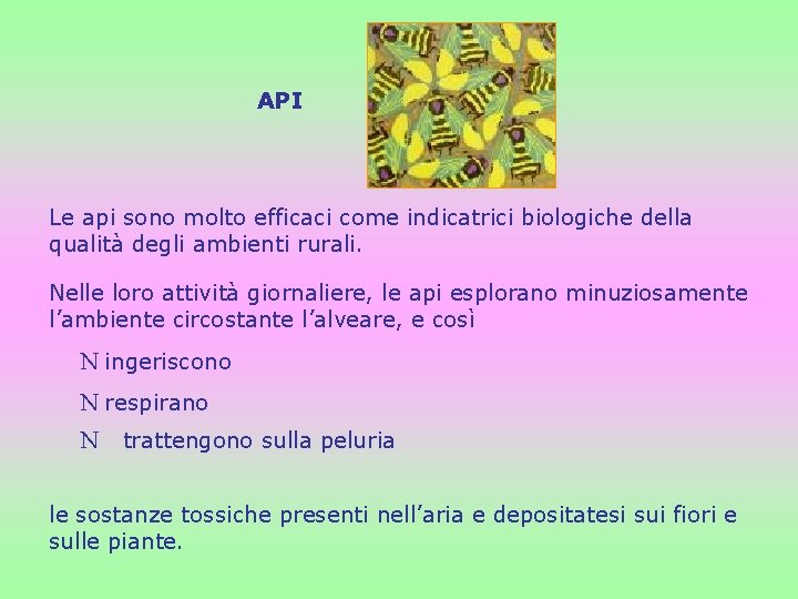 API Le api sono molto efficaci come indicatrici biologiche della qualità degli ambienti rurali.