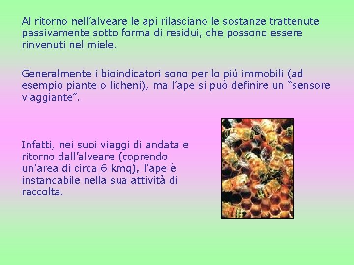 Al ritorno nell’alveare le api rilasciano le sostanze trattenute passivamente sotto forma di residui,