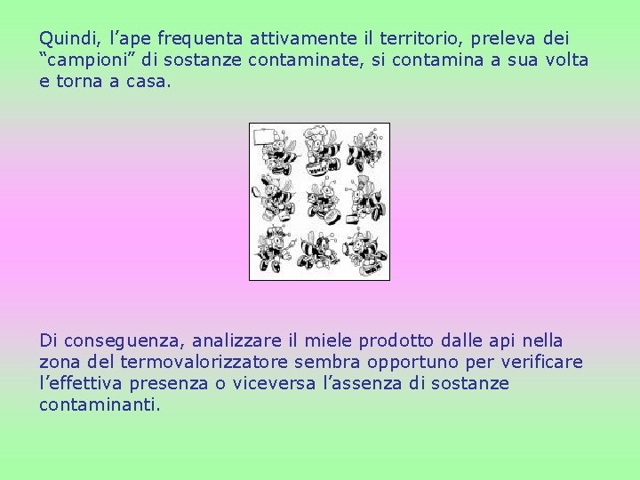 Quindi, l’ape frequenta attivamente il territorio, preleva dei “campioni” di sostanze contaminate, si contamina Quindi, l’ape frequenta attivamente il territorio, preleva dei “campioni” di sostanze contaminate, si contamina