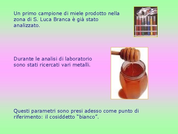 Un primo campione di miele prodotto nella zona di S. Luca Branca è già