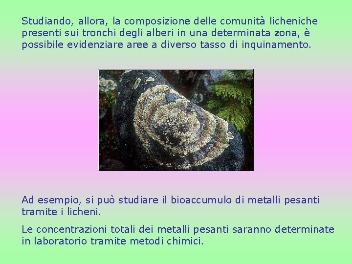 Studiando, allora, la composizione delle comunità licheniche presenti sui tronchi degli alberi in una