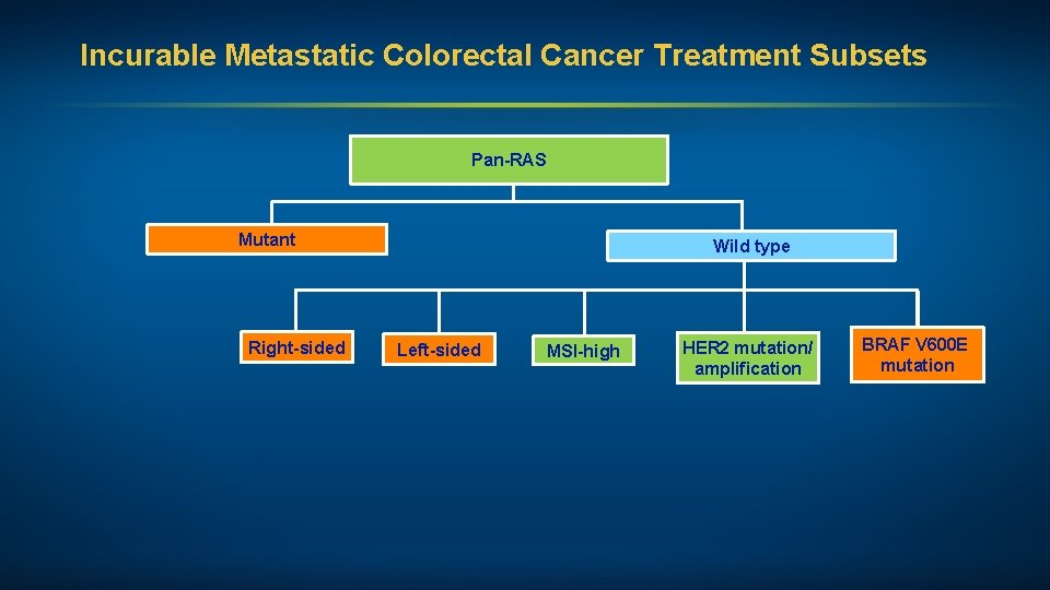 Incurable Metastatic Colorectal Cancer Treatment Subsets Pan-RAS Mutant Right-sided Wild type Left-sided MSI-high HER