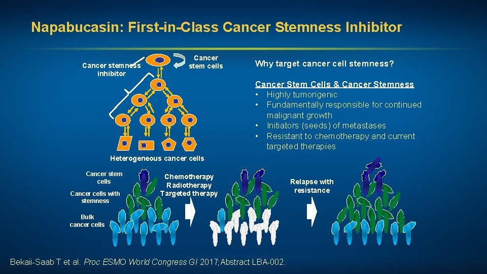 Napabucasin: First-in-Class Cancer Stemness Inhibitor Cancer stemness inhibitor Cancer stem cells Why target cancer