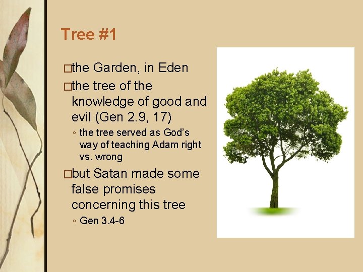 Tree #1 �the Garden, in Eden �the tree of the knowledge of good and