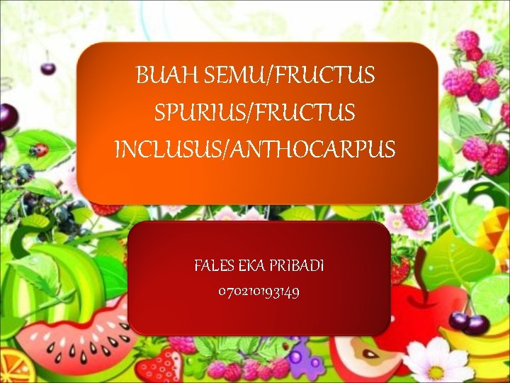 BUAH SEMU/FRUCTUS SPURIUS/FRUCTUS INCLUSUS/ANTHOCARPUS FALES EKA PRIBADI 070210193149 