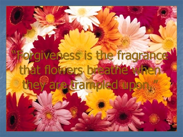 “Forgiveness is the fragrance that flowers breathe when they are trampled upon. ” 