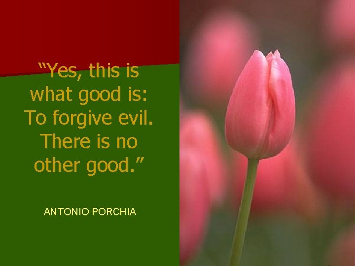 “Yes, this is what good is: To forgive evil. There is no other good.