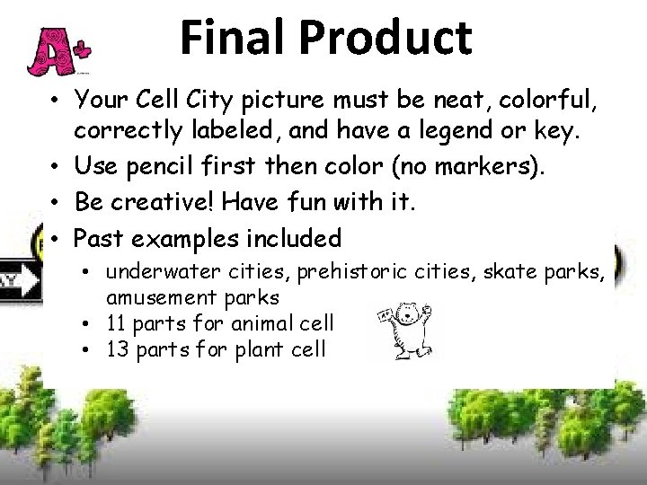 Final Product • Your Cell City picture must be neat, colorful, correctly labeled, and