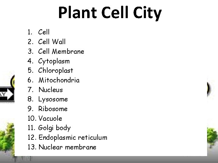 Plant Cell City 1. Cell 2. Cell Wall 3. Cell Membrane 4. Cytoplasm 5.
