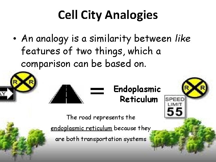 Cell City Analogies • An analogy is a similarity between like features of two