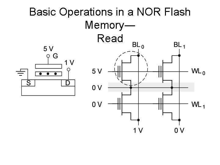 Basic Operations in a NOR Flash Memory― Read 