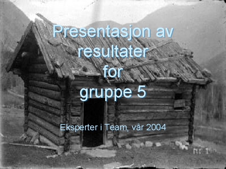 Presentasjon av resultater for gruppe 5 Eksperter i Team, vår 2004 