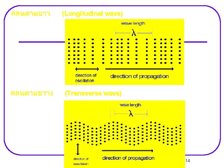 คลนตามยาว (Longitudinal wave) คลนตามขวาง (Transverse wave) 14 