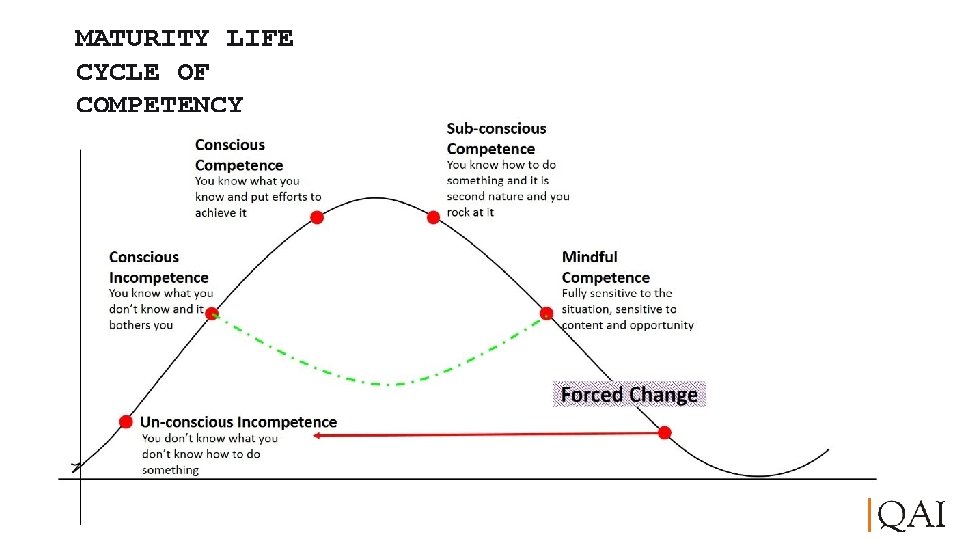 MATURITY LIFE CYCLE OF COMPETENCY 