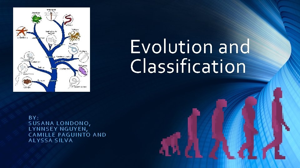 Evolution and Classification BY: SUSANA LONDONO, LYNNSEY NGUYEN, CAMILLE PAGUINTO AND ALYSSA SILVA 